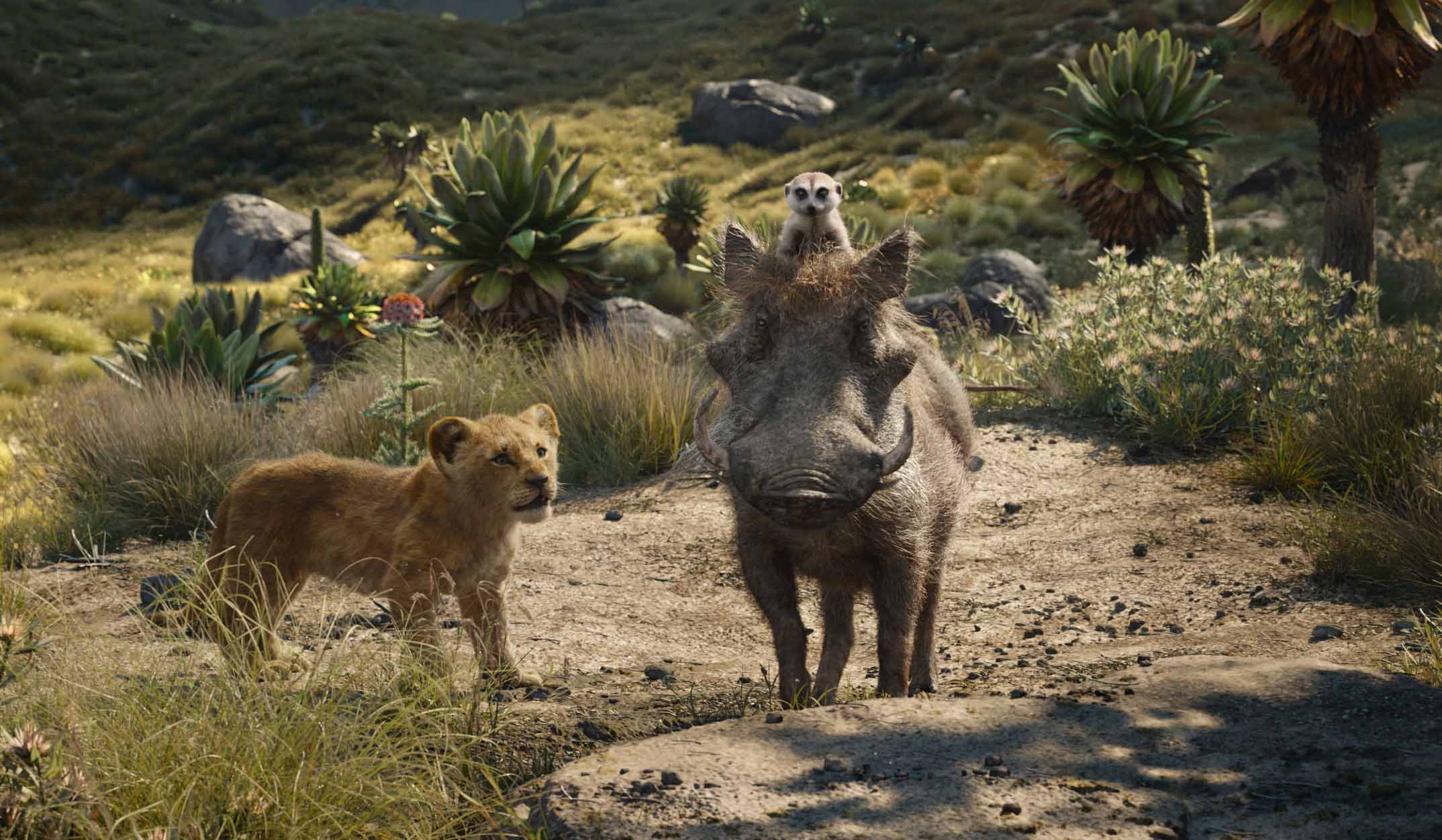 Imagen de El rey leon pelicula animada