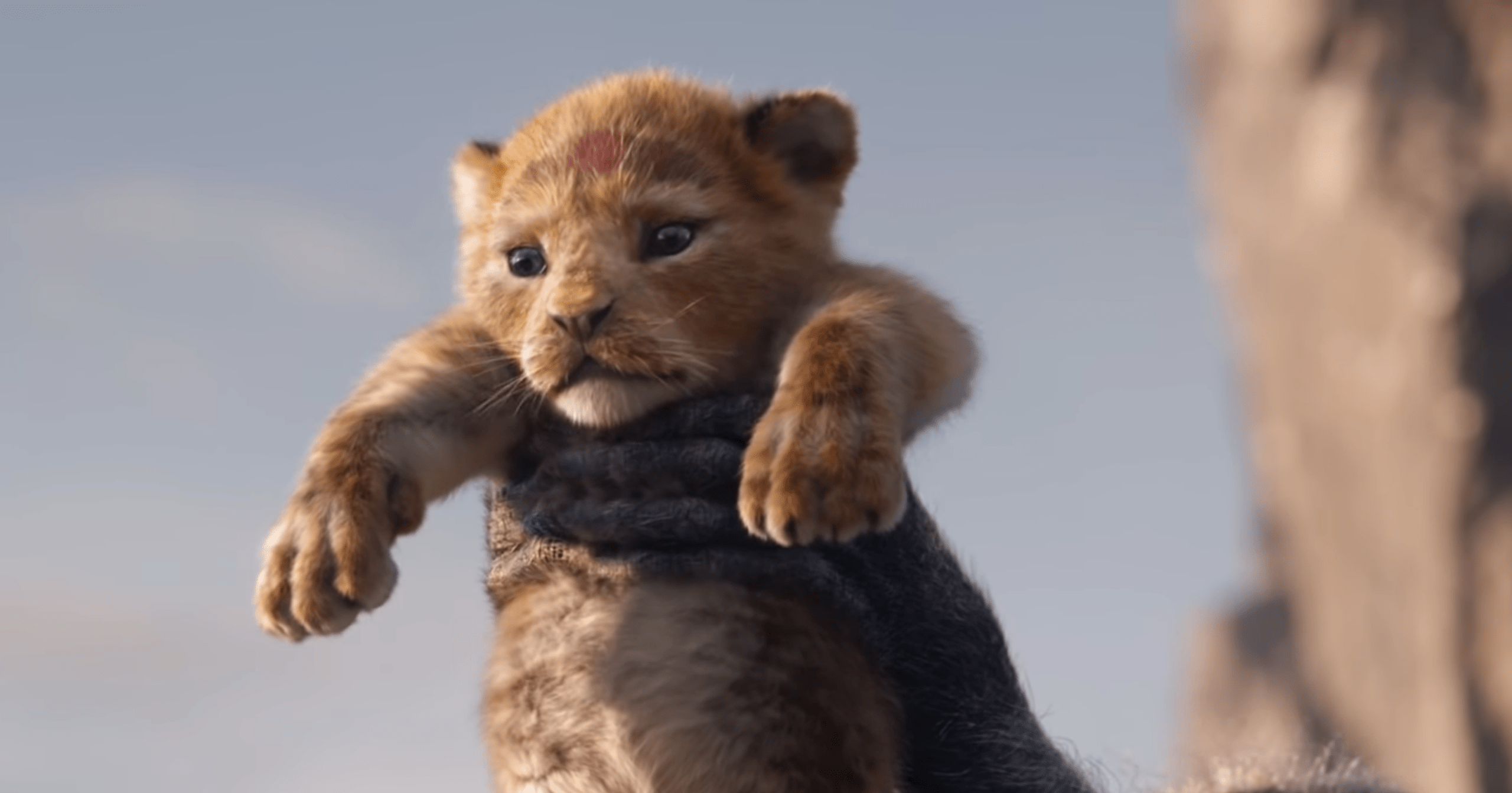 Imagen de El rey leon