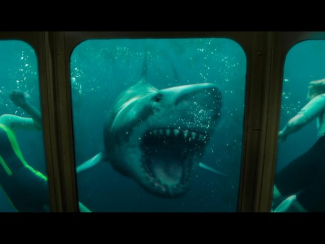 5 películas de tiburones que te dejarán a cuadros